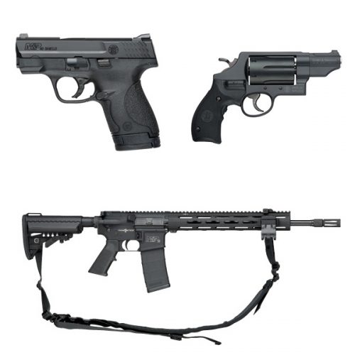 Firearms (Restricted)